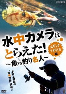 水中カメラはとらえた! 魚VS釣り名人 エギング アオリイカ編 [DVD]