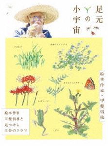 足元の小宇宙 〜絵本作家・甲斐信枝と見つける生命のドラマ〜 [DVD]