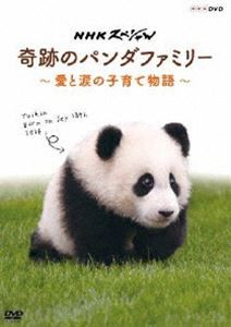 NHKスペシャル 奇跡のパンダファミリー 〜愛と涙の子育て物語〜 [DVD]