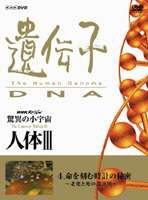 驚異の小宇宙 人体III 遺伝子 DNA 第4集 [DVD]