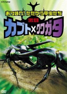 激闘 カブト×クワガタ 〜あつまれ!たたかう甲虫たち〜 [DVD]