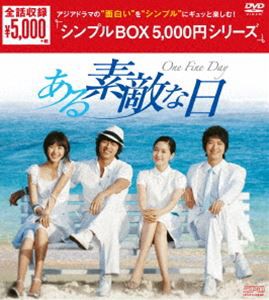 ある素敵な日 DVD-BOX [DVD]