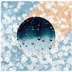 One Small Step / One Small Step [CD]