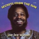 ジョー・リー・ウィルソン / SECRETS FROM THE SUN [CD]