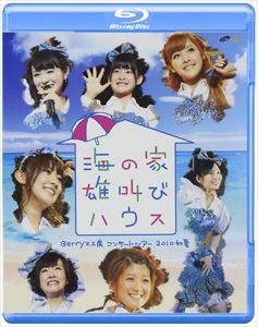 Berryz工房 コンサートツアー 2010初夏〜海の家 雄叫びハウス〜 [Blu-ray]