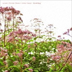 tipsipuca＋中村大史＋熊谷太輔 / Growing [CD]