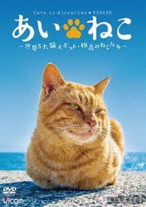 あいねこ 世界5大猫スポット・相島のねこたち [DVD]