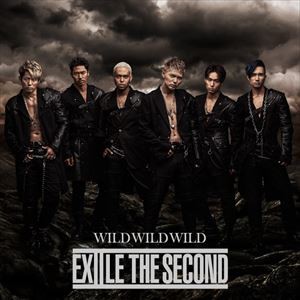 EXILE THE SECOND / WILD WILD WILD [CD]