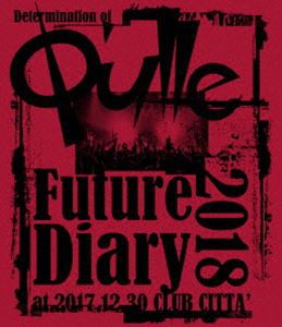 Q’ulle／Determination of Q’ulle「Future Diary 2018」at 2017.12.30 CLUB CITTA’ [Blu-ray]