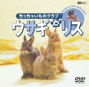 ウサギとリス／ちっちゃいものクラブ [DVD]