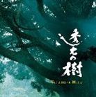 日野皓正 / 透光の樹 オリジナル・サウンドトラック [CD]