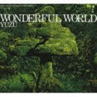 ゆず / WONDERFUL WORLD（通常盤） [CD]