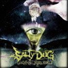 SALTY DOG / Goodnight，Cruel World [CD]