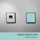 SPIRIT COKE DADDY / A Tight Soul Human [CD]