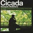 槇原敬之 / Cicada（通常盤） [CD]