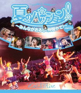 でんぱ組.inc／夏のパッション!〜みんながおるし、仲間やで!〜 in 大阪城野外音楽堂 [Blu-ray]