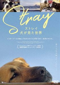 ストレイ 犬が見た世界 [DVD]