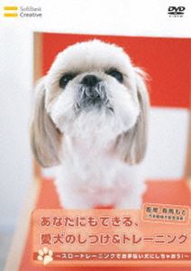 あなたにもできる、愛犬のしつけ＆トレーニング〜スロートレーニングでお手伝い犬にしちゃおう!〜 [DVD]