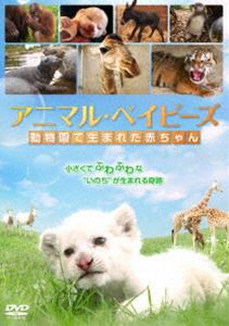 アニマル・ベイビーズ 動物園で生まれた赤ちゃん [DVD]