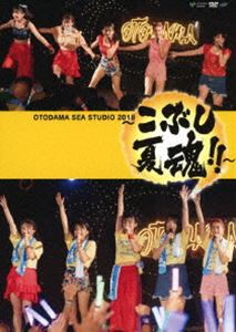 こぶしファクトリー／OTODAMA SEA STUDIO 2018 〜こぶし夏魂!!〜 [DVD]