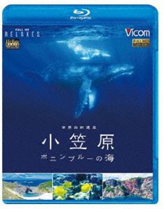 ビコム Relaxes BD 世界自然遺産 小笠原 〜ボニンブルーの海〜 [Blu-ray]