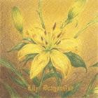 Dragon Ash / Lily（通常盤） [CD]