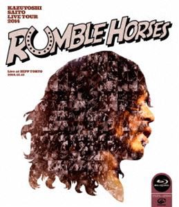 斉藤和義／KAZUYOSHI SAITO LIVE TOUR 2014 RUMBLE HORSES Live at ZEPP TOKYO 2014.12.12（通常盤） [Blu-ray]