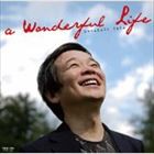 東郷昌和 / A WONDERFUL LIFE [CD]