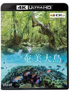 ビコム 4K Relaxes 奄美大島【4K・HDR】〜いのち紡ぐ島〜 [Ultra HD Blu-ray]