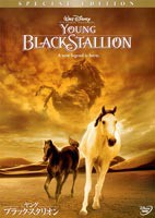 ヤング・ブラック・スタリオン [DVD]