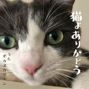 ポカスカジャン / 猫よありがとう [CD]