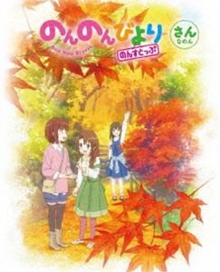 のんのんびより のんすとっぷ 第3巻 [DVD]