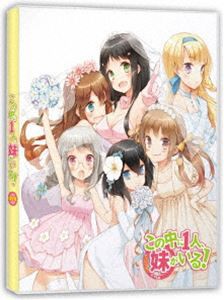 OVAの中に1人、妹がいる! [DVD]