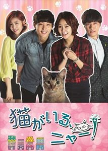 猫がいる、ニャー! DVD-BOXII [DVD]