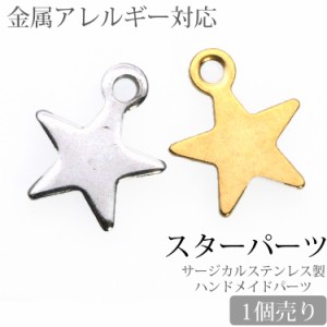 金属アレルギー対応 アクセサリーパーツ ピアス用金具 スターパーツ 星 ハンドメイド 手芸 パーツ サージカルステンレス 