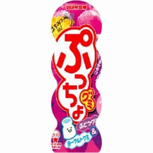 味覚糖 ぷっちょグミ ぶどう容器４０ｇ  ×10