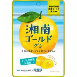 カネカ 湘南ゴールドグミ ラブレ乳酸菌入４０ｇ ×10