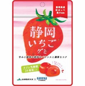 グミ＆ラムネ特集 カネカ 静岡いちごグミ ラブレ乳酸菌入４０ｇ   ×10