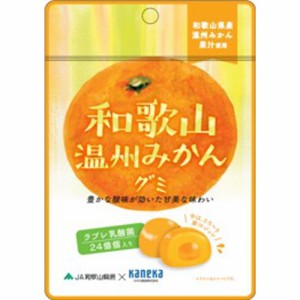 カネカ 和歌山温州みかんグミ 乳酸菌入り４０ｇ  ×10 【全国送料無料】(一部地域除く)