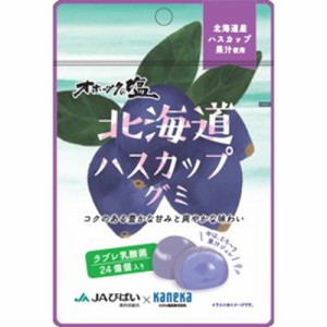 カネカ 北海道ハスカップグミ ラブレ乳酸菌入４０ｇ ×10