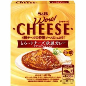 Ｓ＆Ｂ ワオチーズ とろ〜りチーズ欧風カレー中辛 ×6