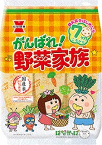 岩塚製菓 がんばれ！野菜家族 ５１ｇ   ×6