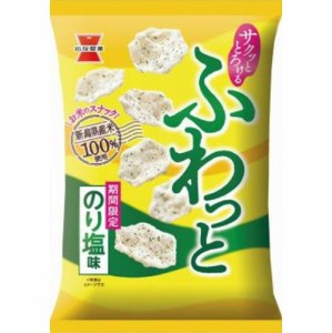 岩塚製菓 ふわっと のり塩味３５ｇ ×10