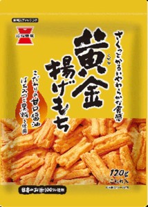 岩塚製菓 黄金揚げもち はちみつ油味１２０ｇ ×12