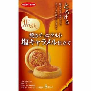 イトウ製菓 焼きチョコタルト 塩キャラメル仕立て８枚 ×6
