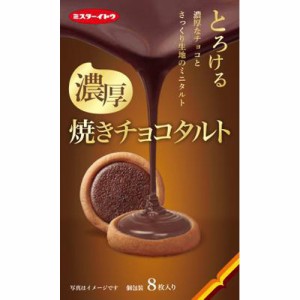 イトウ製菓 焼きチョコタルト ８枚  ×6