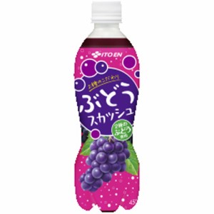 伊藤園 ２種のこだわりぶどうスカッシュＰ４５０ｍｌ  ×24