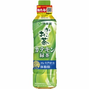 伊藤園 お〜いお茶 カテキン緑茶Ｐ５００ｍｌ ×24 【全国送料無料】(一部地域除く)