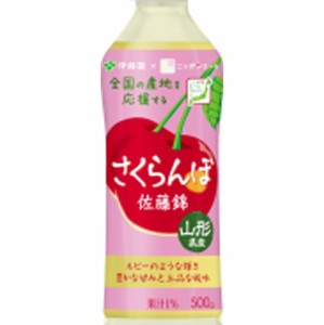 伊藤園 ニッポンエール山形県産さくらんぼＰ５００ｇ  ×24