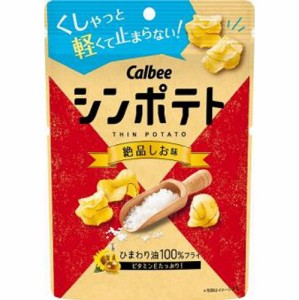 カルビー シンポテト絶品しお味４２ｇ ×12